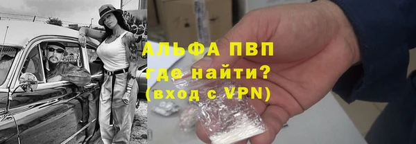 PSILOCYBIN Аркадак