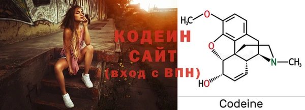 PSILOCYBIN Аркадак