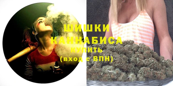 PSILOCYBIN Аркадак